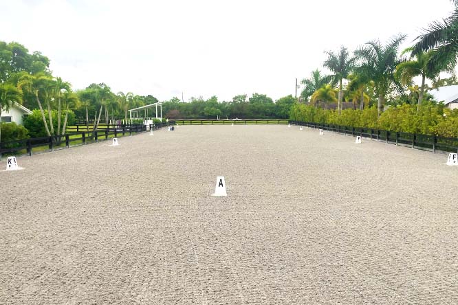 Arena