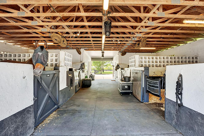 Horses in Stalls