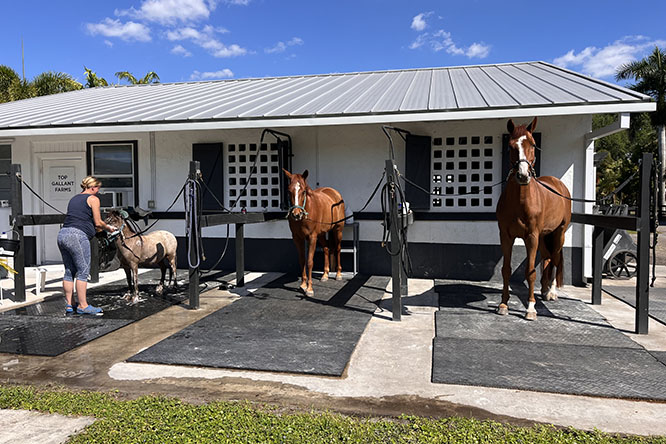 Personalized horse care and grooming at Wellington’s Top Gallant Farms