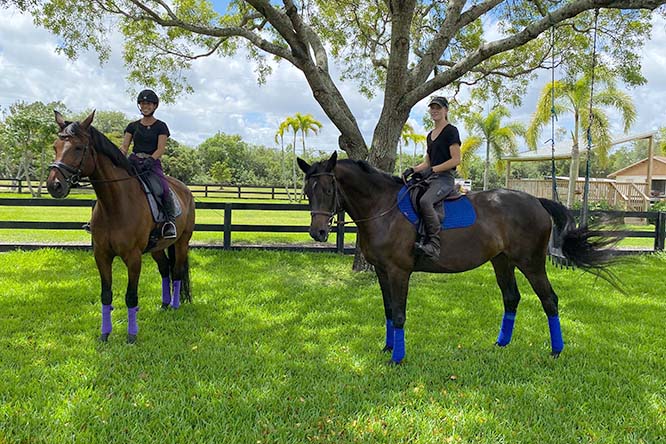Top Gallant Farms Horses