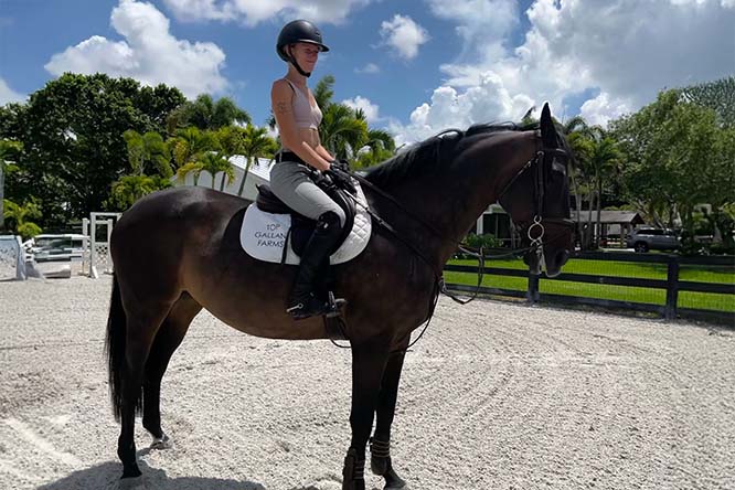 Top Gallant Farms Horses