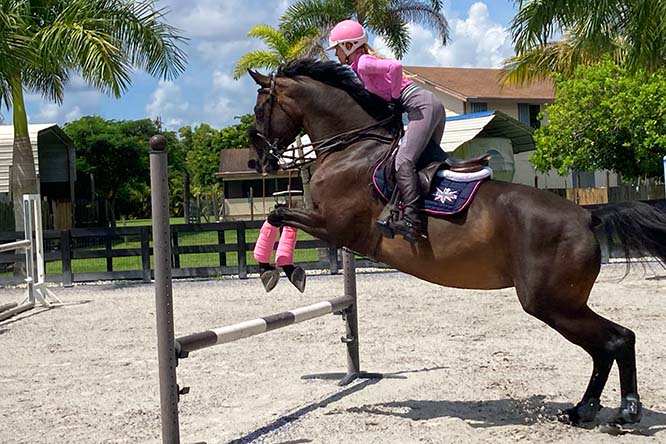 Top Gallant Farms Horses