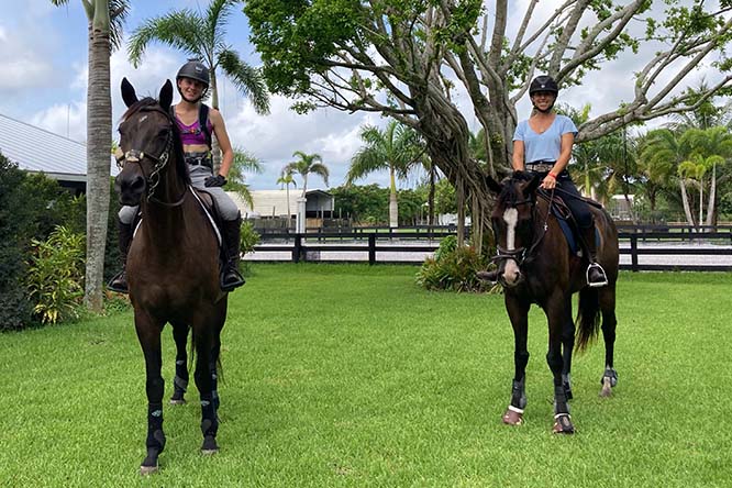 Top Gallant Farms Horses