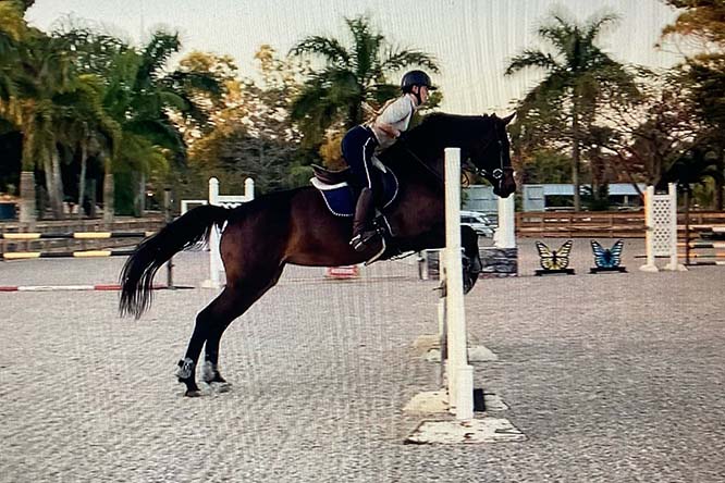 Top Gallant Farms Horses
