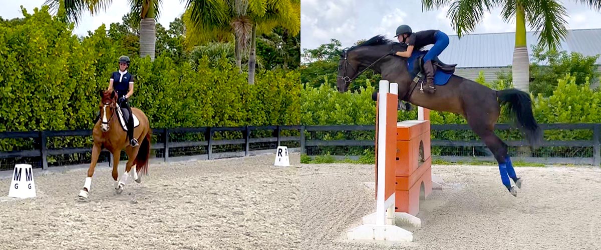 Dressage and Jumping at Top Gallant Farms