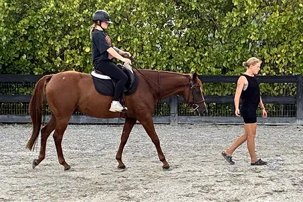Horseback Riding Image