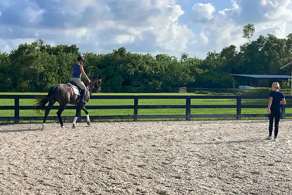 Horseback Riding Image