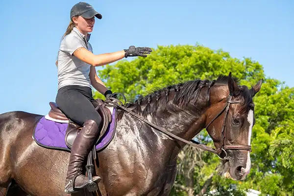 Horseback Riding Image